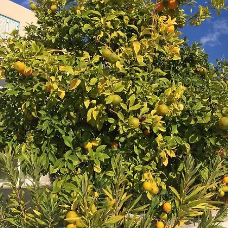 In Kato Apartament Pafos