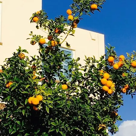 In Kato * Pafos