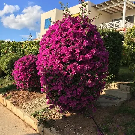 Daire In Kato Pafos