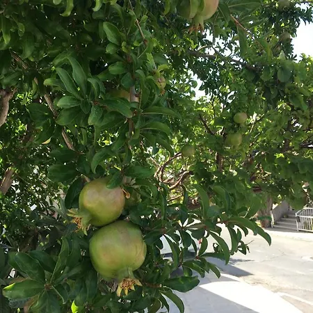 In Kato Daire Pafos