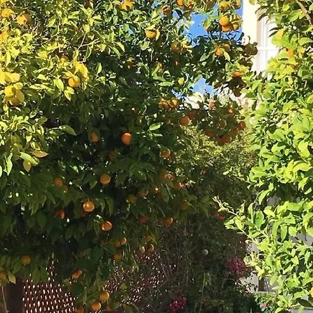 In Kato Διαμέρισμα Πάφος
