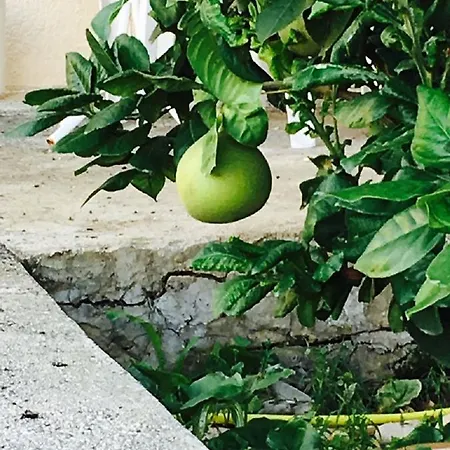 In Kato Διαμέρισμα Πάφος