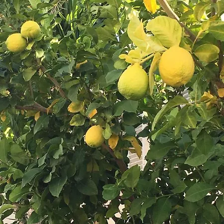 In Kato Πάφος